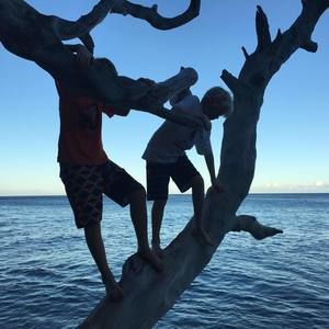 Meet your Posher, Patrick